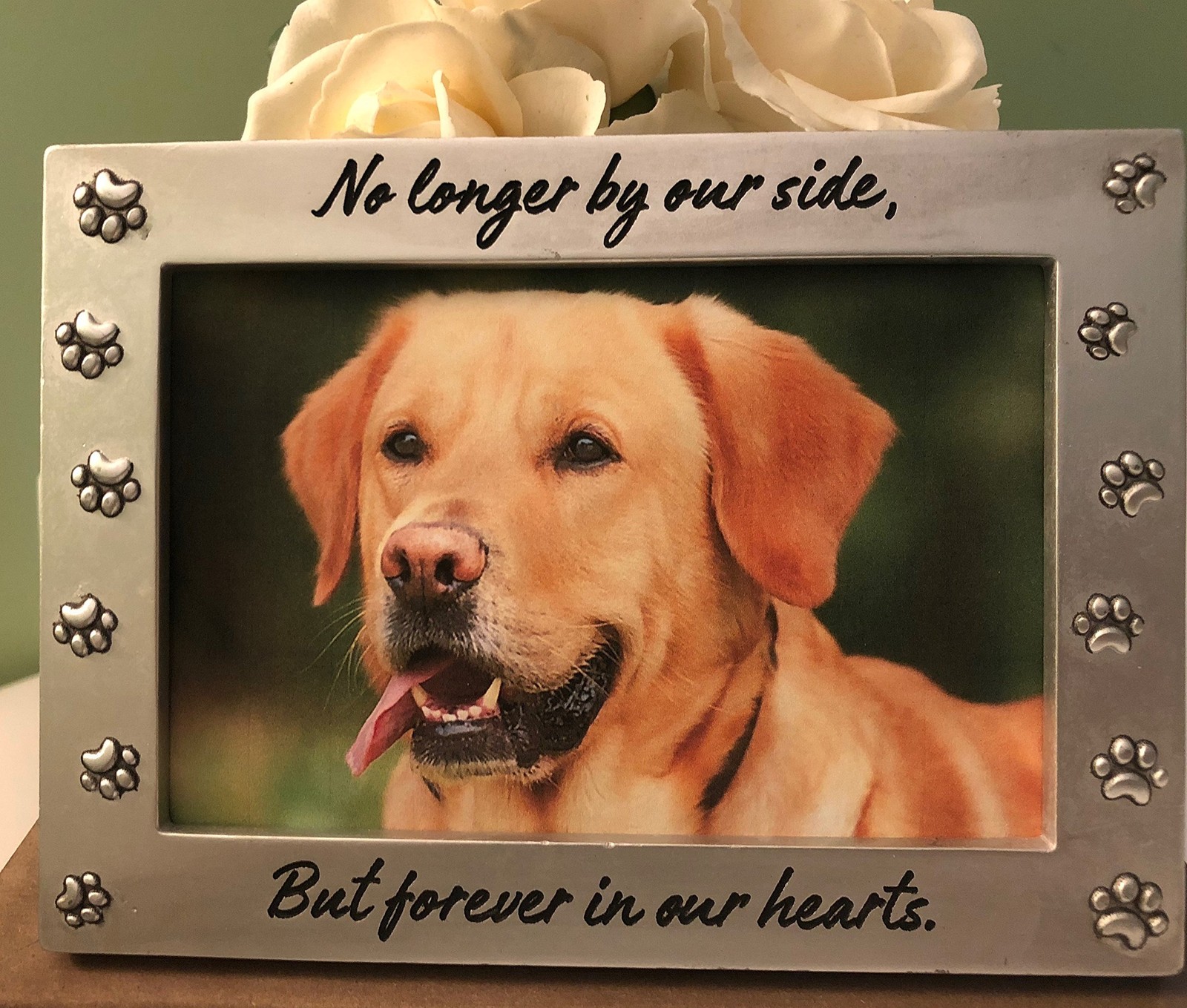 PetLandia Pet Memorial Picture Frame Keepsake For Dog or Cat, Perfect Loss Of...