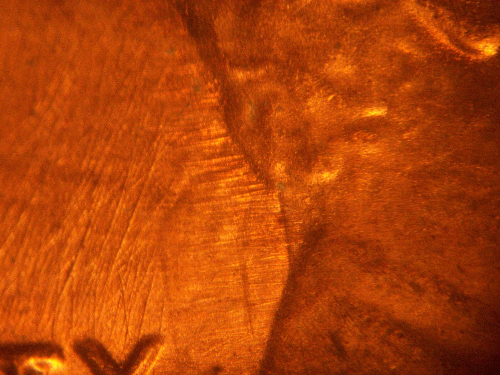 1983 P Die Clash Lincoln Memorial Penny