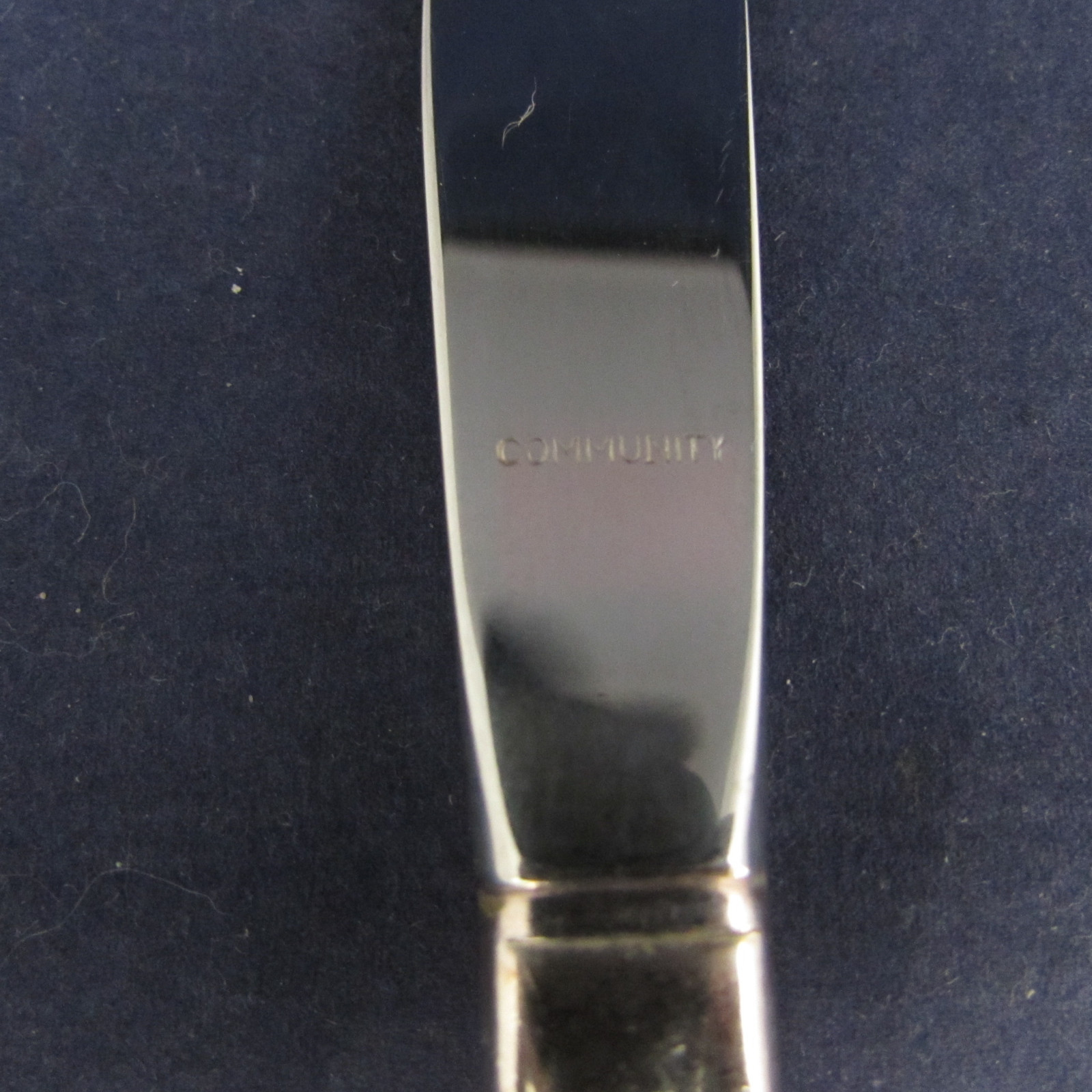 Oneida Silverplate SILVER FLOWER 1960 Dinner Knife