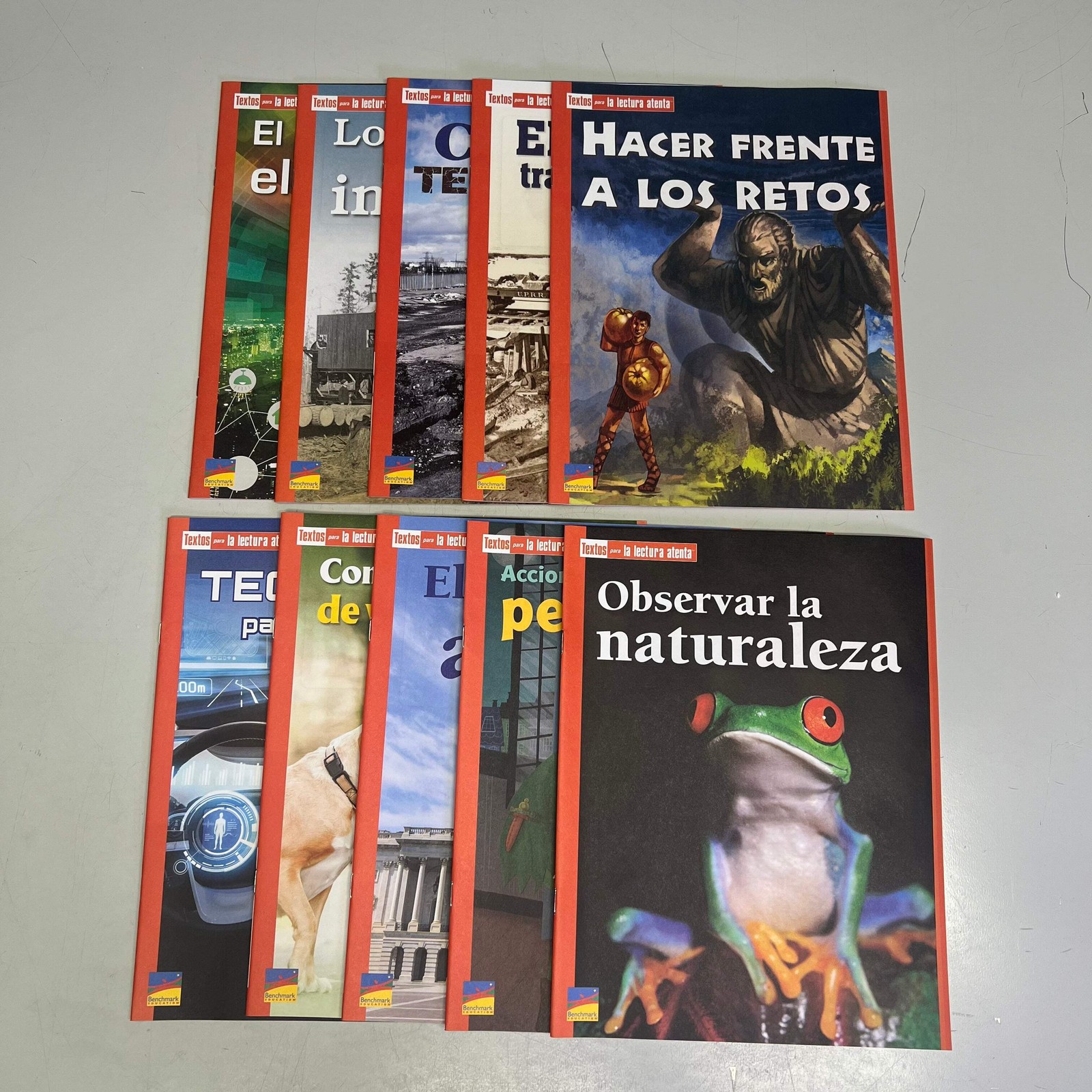 BENCHMARK EDUCATION (10 SET) Multiple Learning Point Books Grade 4 Spanish Editi