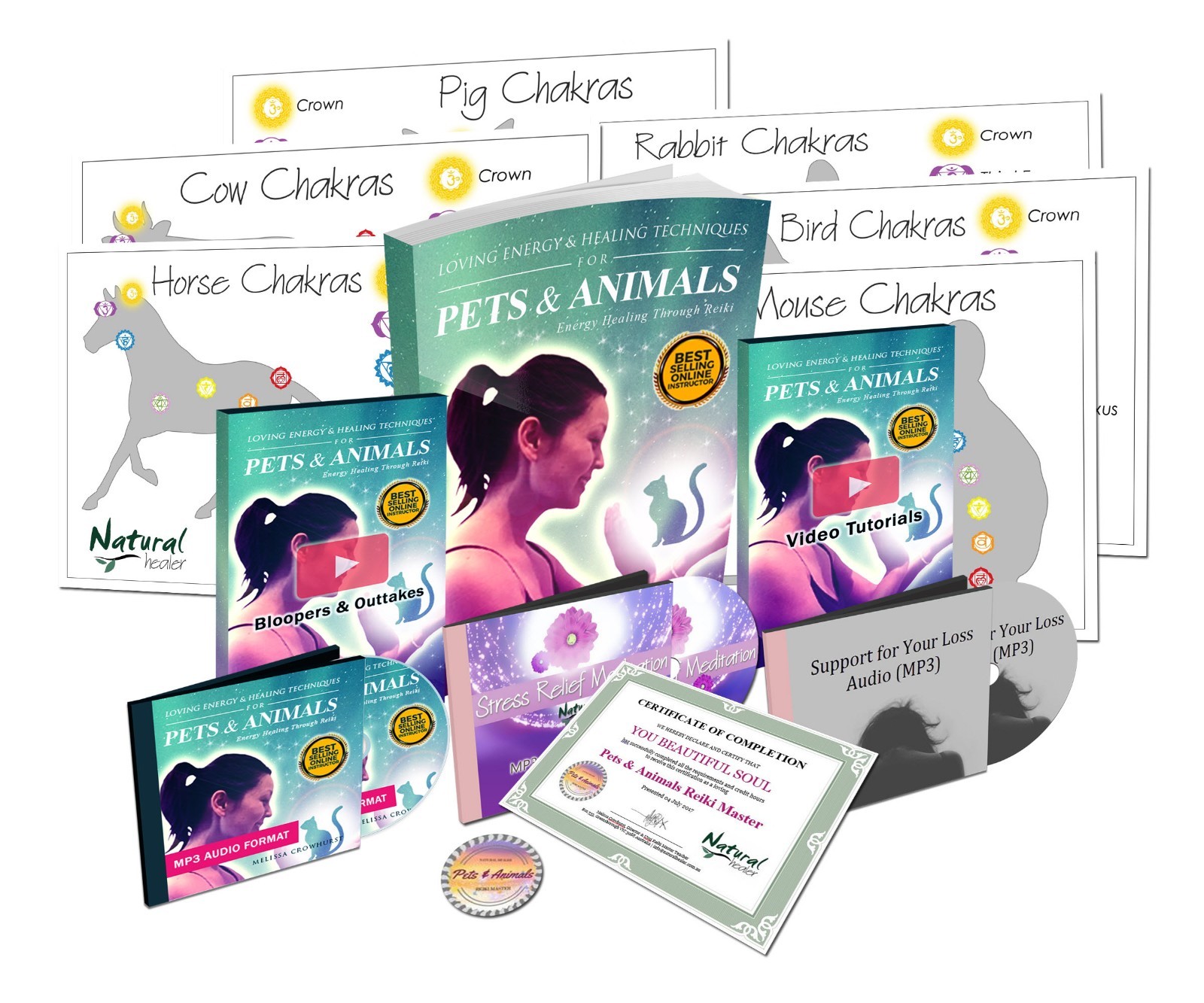Pets & Animals Reiki Energy Healing Course with over $90 In Bonuses