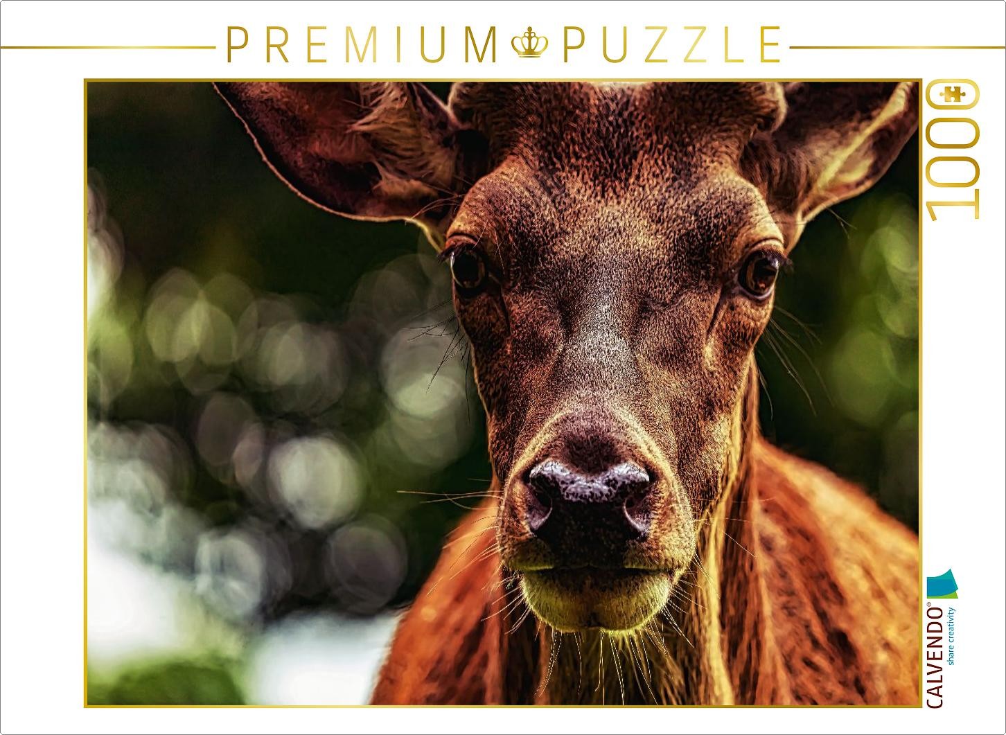 CALVENDO Puzzle Rothirschbulle im Ilsetal | 1000 Teile Lege-Größe 64x48cm Foto-P