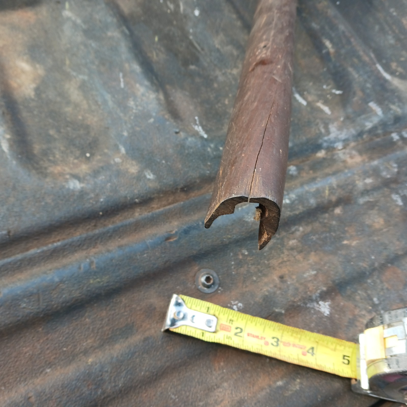 Antique Muzzleloader Stock In Walnut Well Used