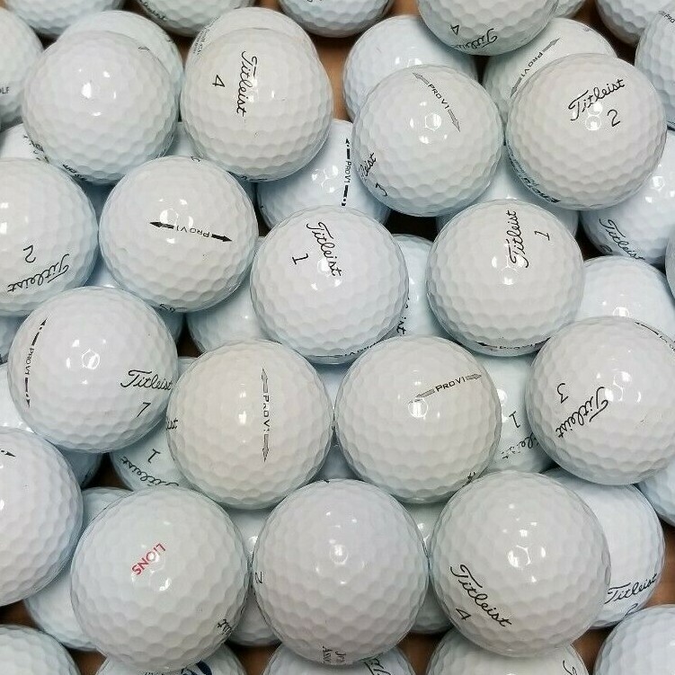 Titleist Pro V1 Mixed Years AAAAA Mint 24 Used Golf Balls 5A