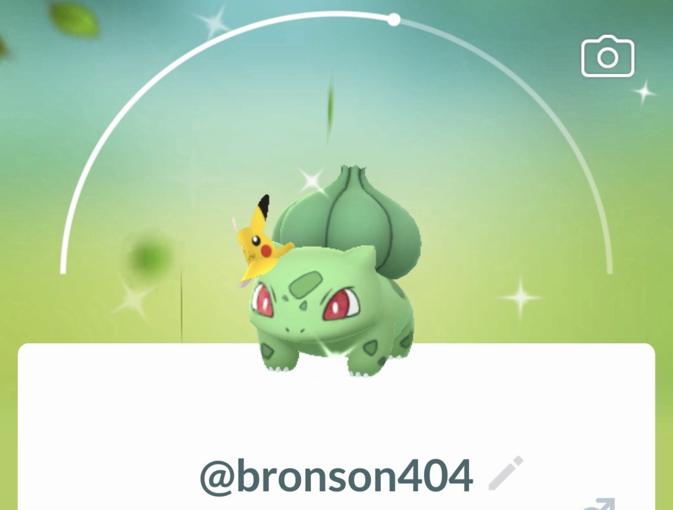 Shiny Bulbasuar Pikachu Hat Unregistered Or Registered
