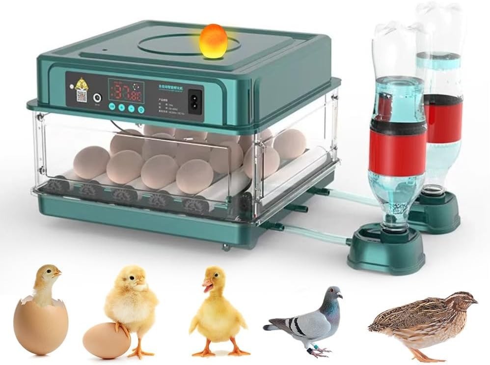 Automatic Egg Incubator 12-38 Egg Digital Poultry Hatcher Machine ith Automatic