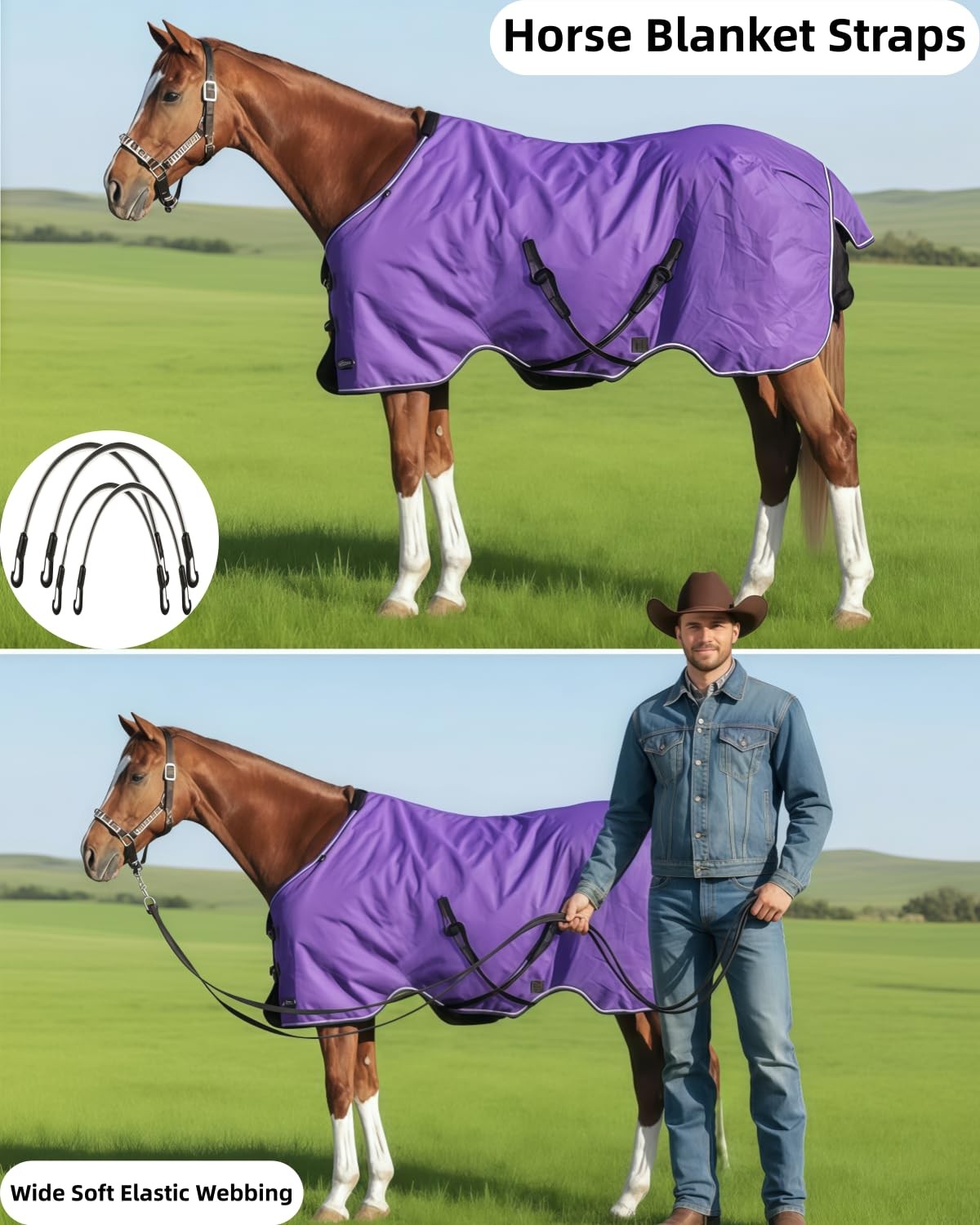 Horse Blanket Straps - Adjustable Elastic Tail & Leg Straps with Double-Ended...
