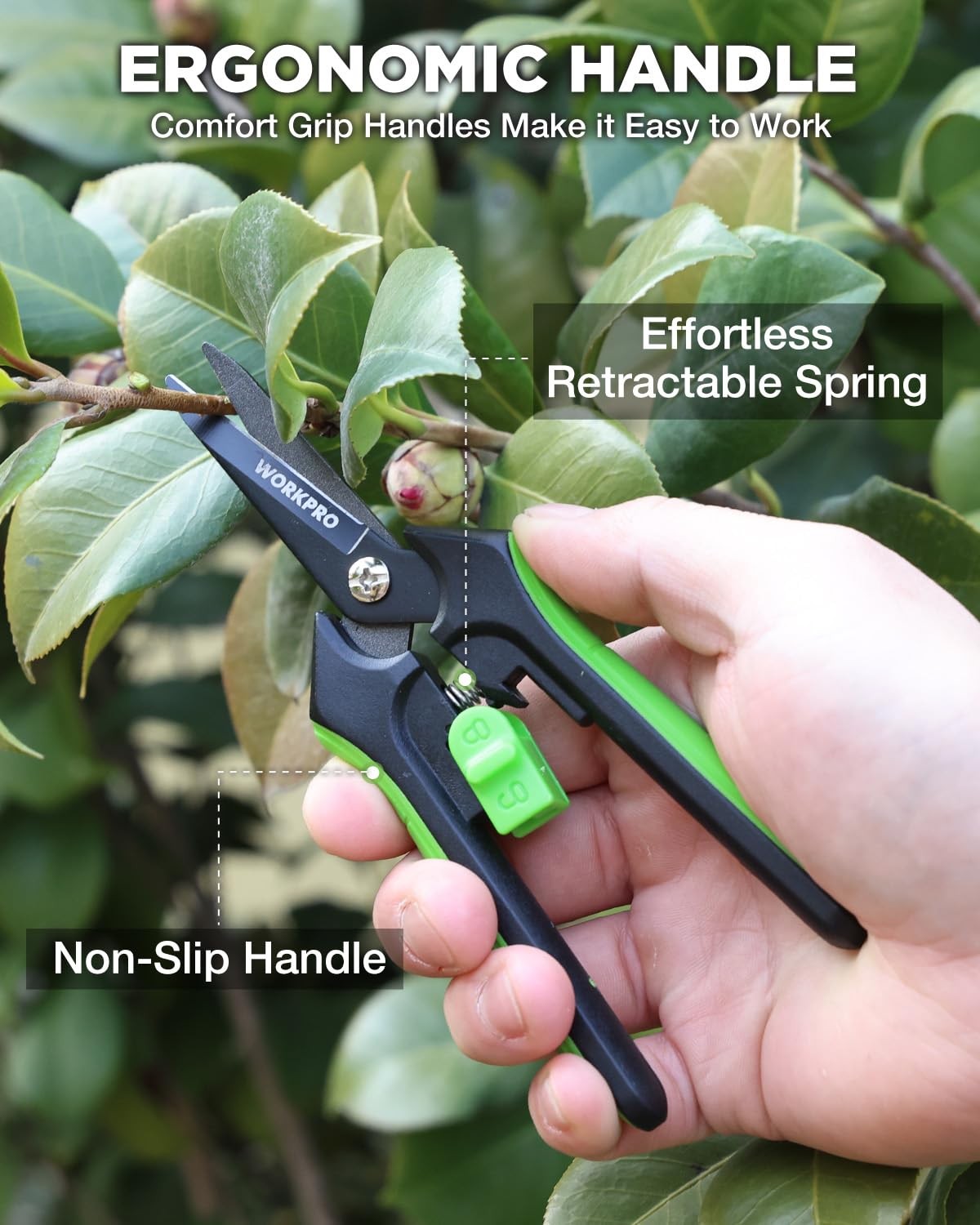 WORKPRO 6-Inch Garden Pruning Shears, Sharp High-Carbon 6-inch, Green Black
