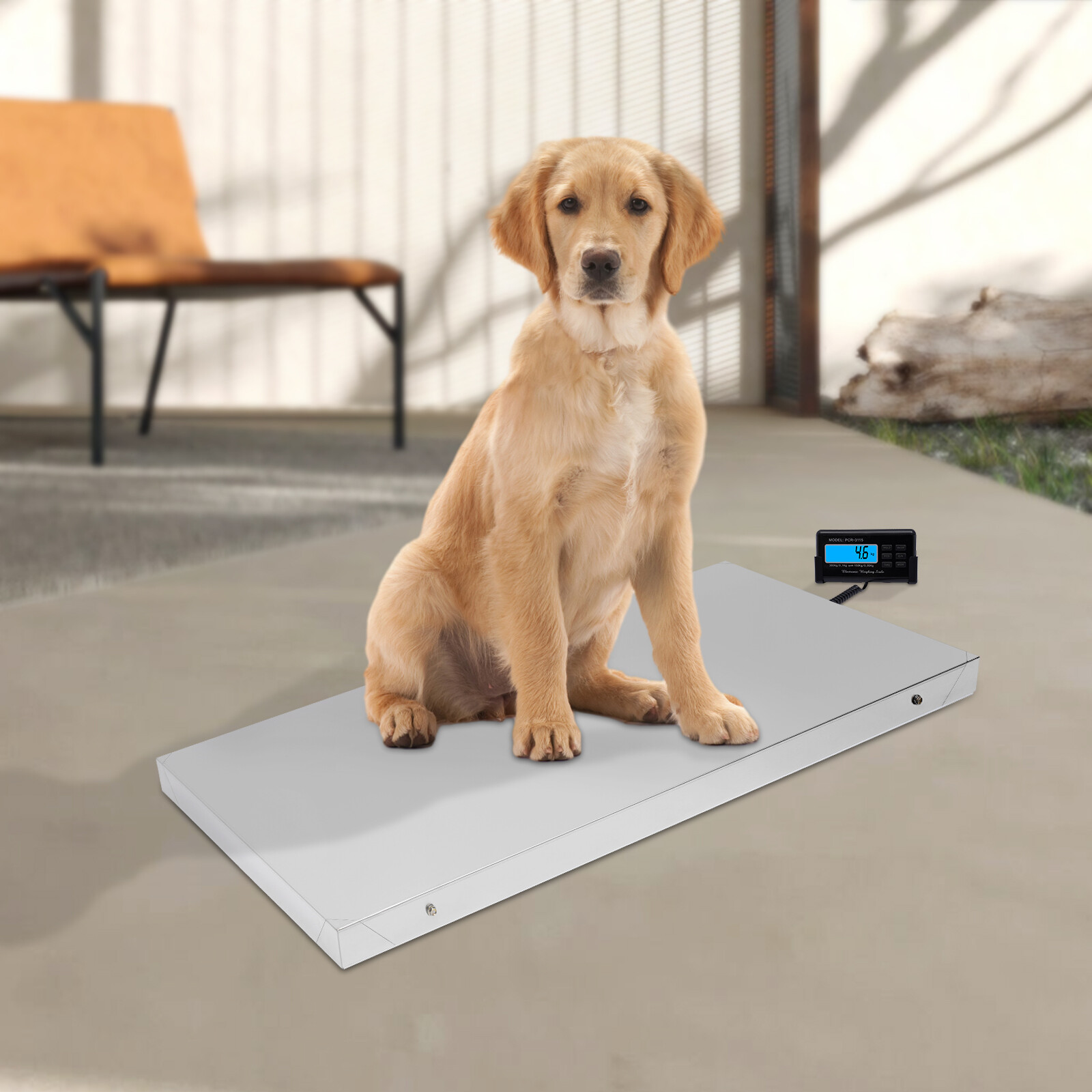 Portable Digital Livestock Vet Scale Hog Pet Dog Sheep Goat Scale 300kg x 0.1kg