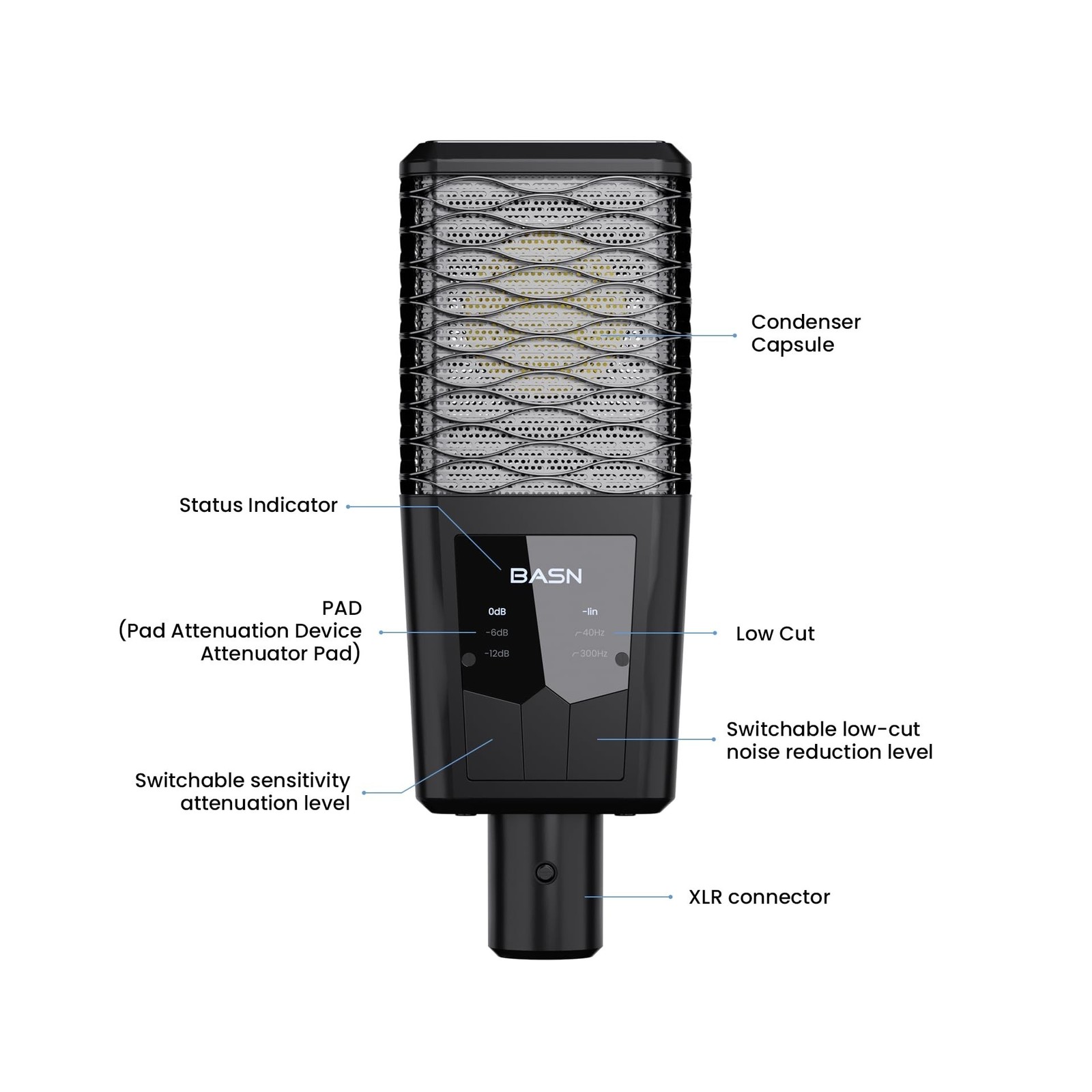 BASN BMS2 Cardioid Condenser Microphone, Large Diaphragm XLR Studio Recording...