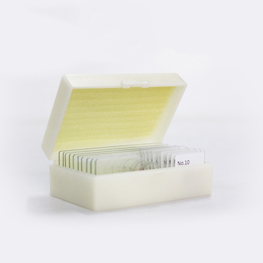 10 PCS/Set Specimen Slides for Microscope Calibration Sample Biology Lab