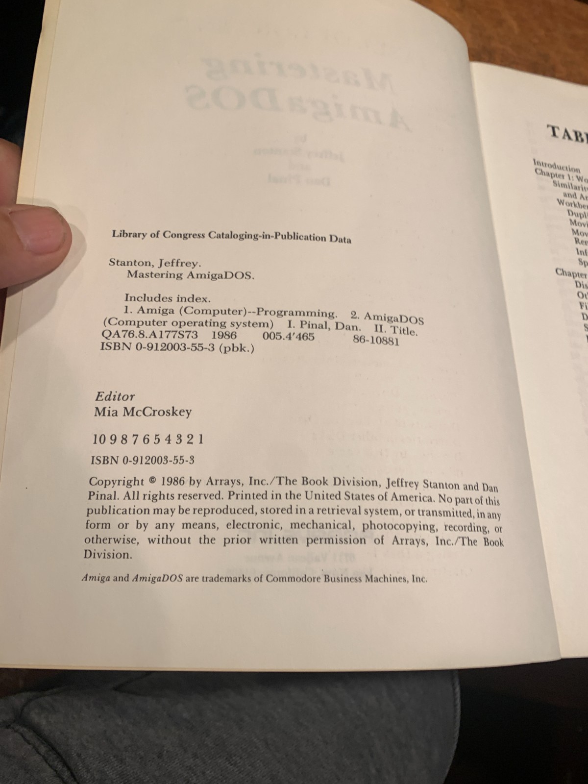 Mastering Amiga DOS Book 1986 Stanton Pinal Arrays Vintage Computer Programming