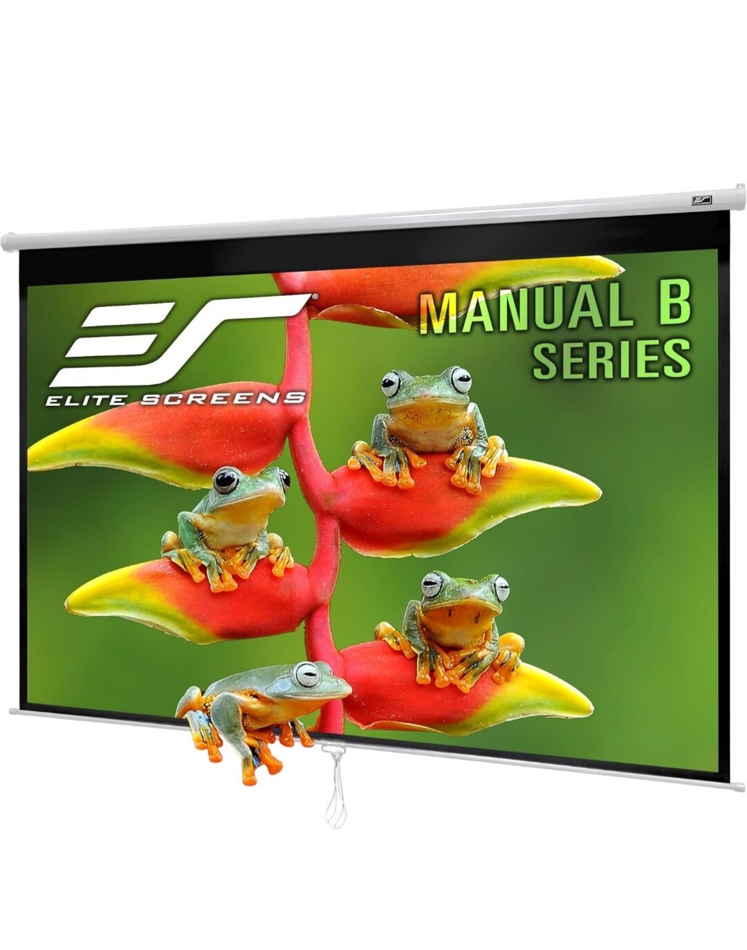 Elite Screens M100H 100 inch Manual B Projection Screen