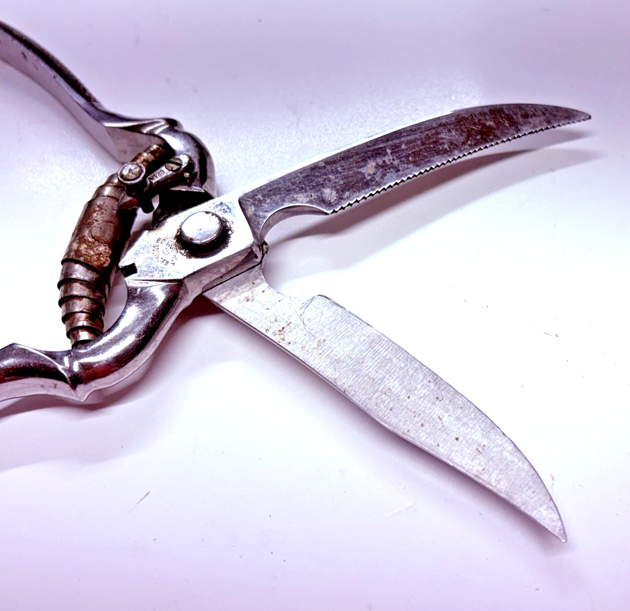 VTG Poultry Shears Stainless Maker Recosa Solingen 9.5"L Sharp-Well Used-Locking