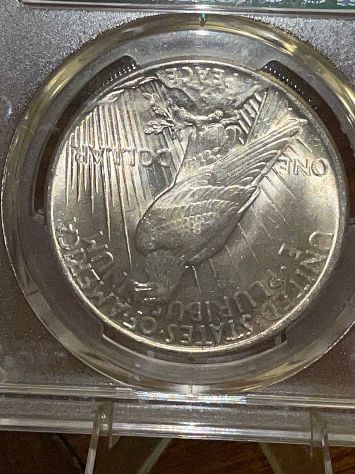 1925 Peace Silver Dollar MS63 PCGS