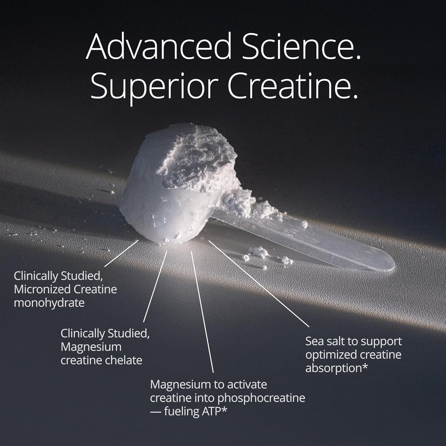 Qualia Creatine | Advanced Creatine Complex | 2 Sources + Magnesium | Optimized