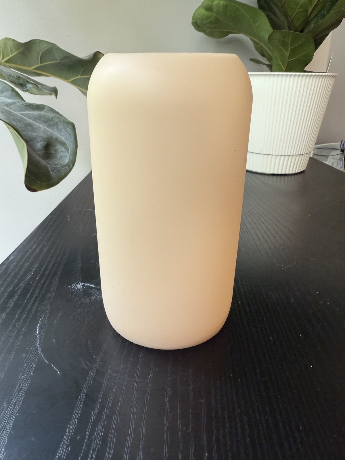bkr Water Bottle COCO