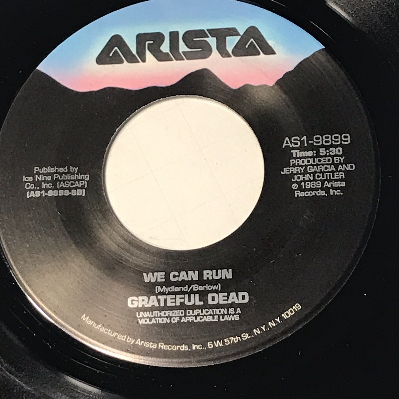 Vintage Vinyl / Grateful Dead / 45 Record “Foolish Heart/We Can Run” Arista  7”