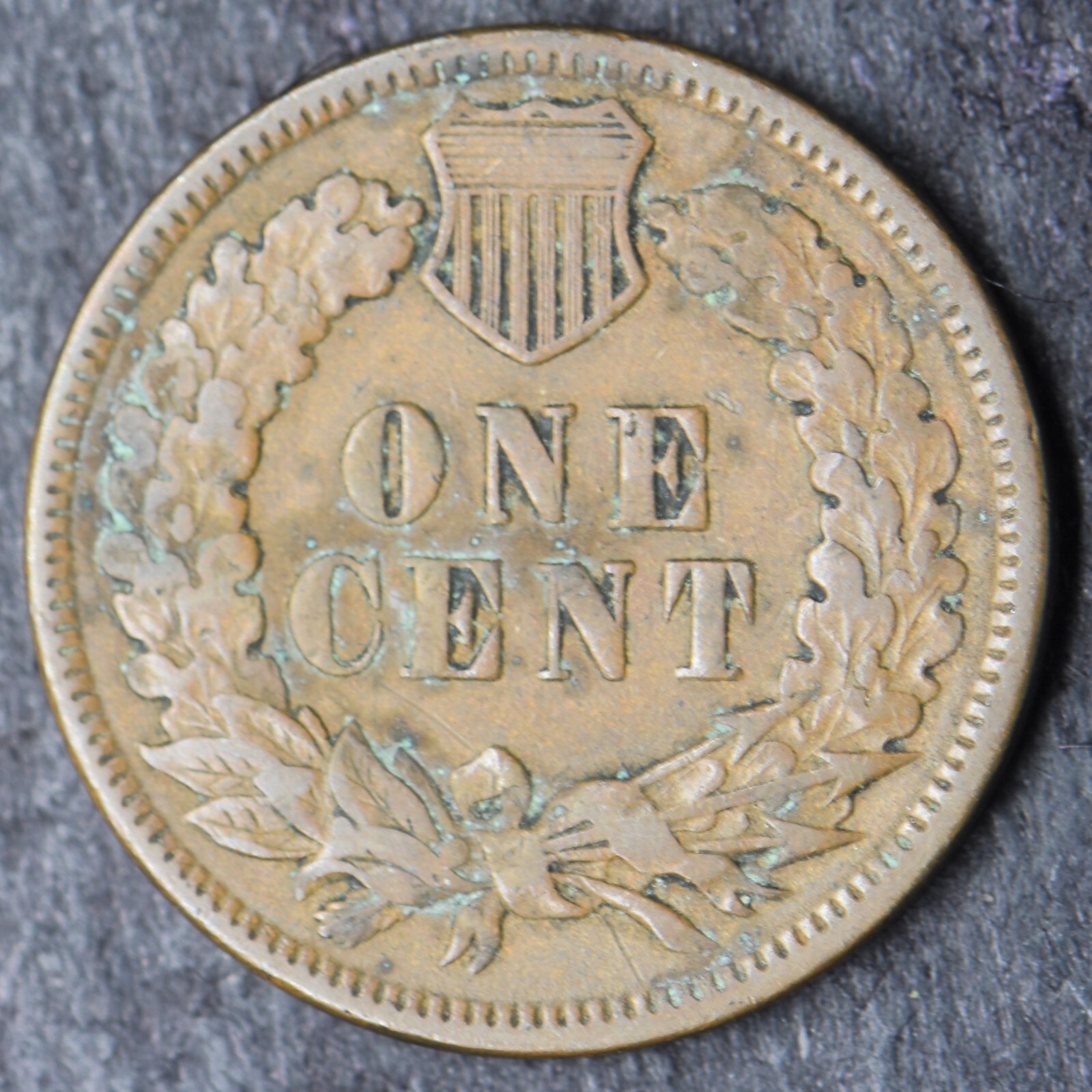 1893 Indian Head Cent 1C- COINGIANTS -