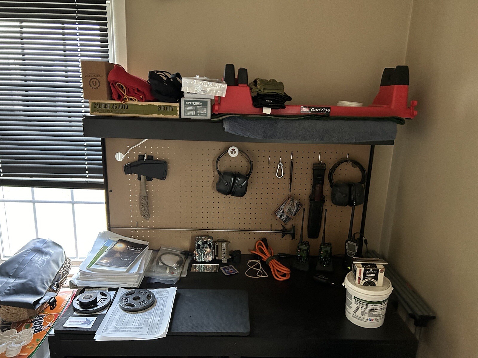 Work Bench With Pegboard Back And Overhead Light.