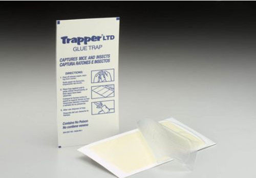 12 Mouse Glue Boards Mouse Traps Trapper LTD Mice Traps Insect Spider Traps