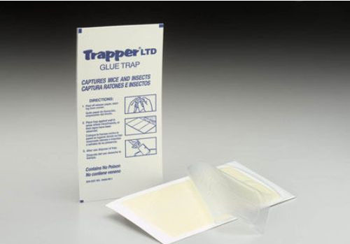 12 Mouse Glue Boards Mouse Traps Trapper LTD Mice Traps Insect Spider Traps