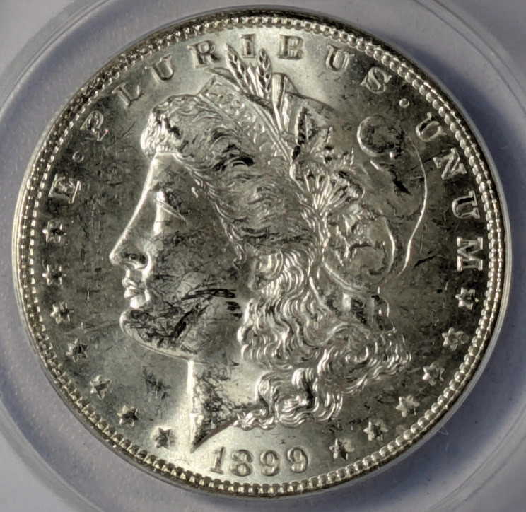 1899 Morgan Silver Dollar ANACS MS-61