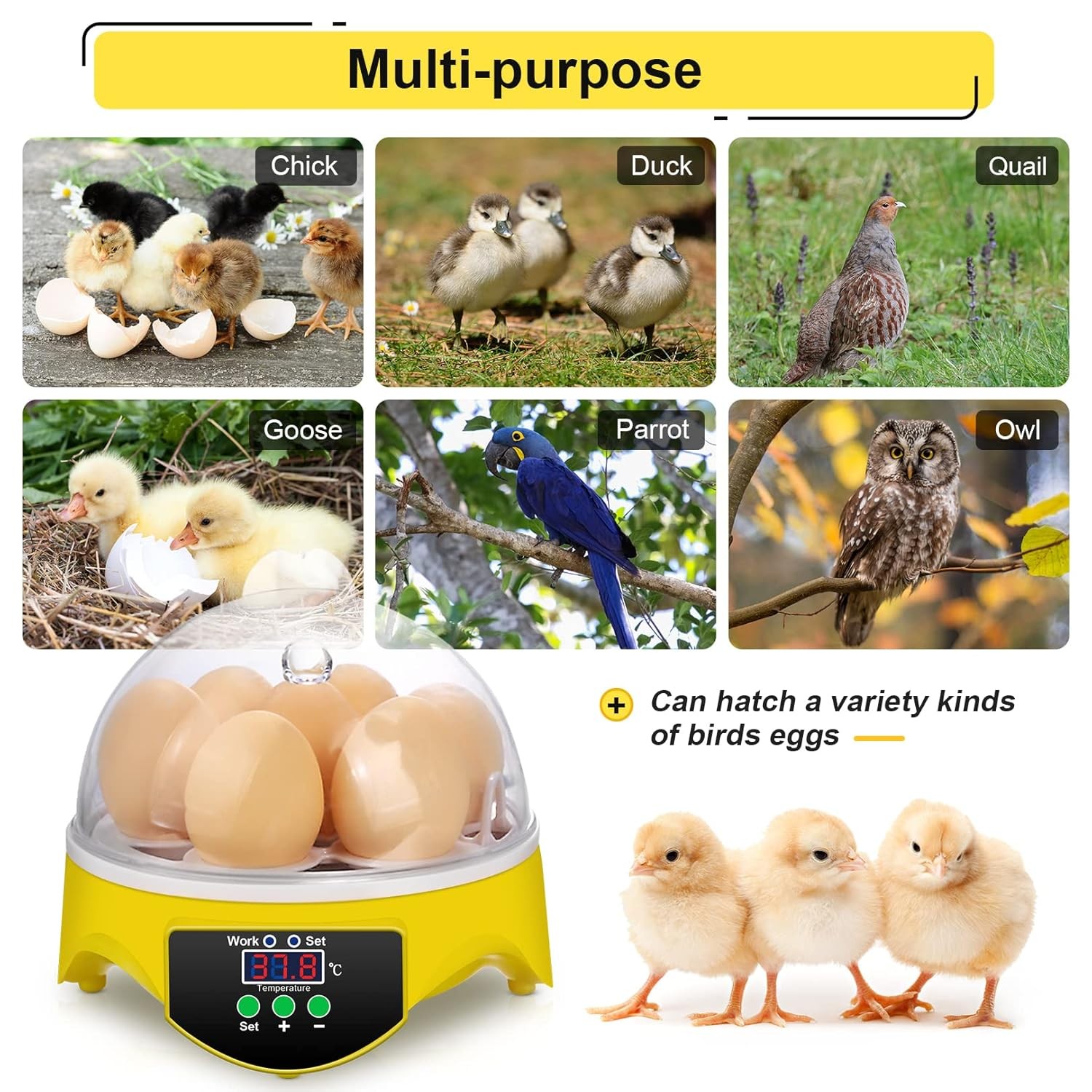 7 Egg Mini Incubator for Kids & Beginners 360° View Manual Temperature Control