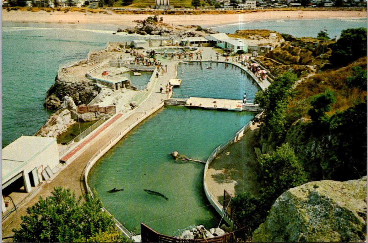 (1233) 13-7-2025 - Dophin/ Dauphin (2 p/c) New Zealand + Brazil
