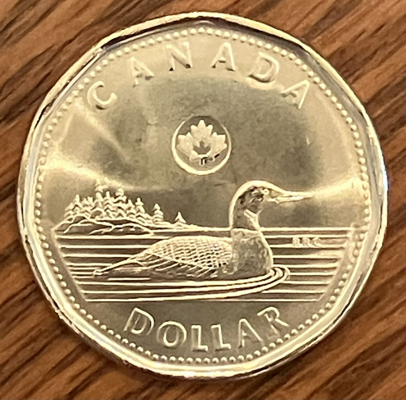 2022 Canada $1 one dollar loonie **75% off combined shipping**