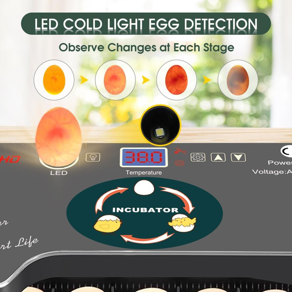 12 Egg Incubator - Automatic Egg Turner, Temperature Control, Built-In Candler,