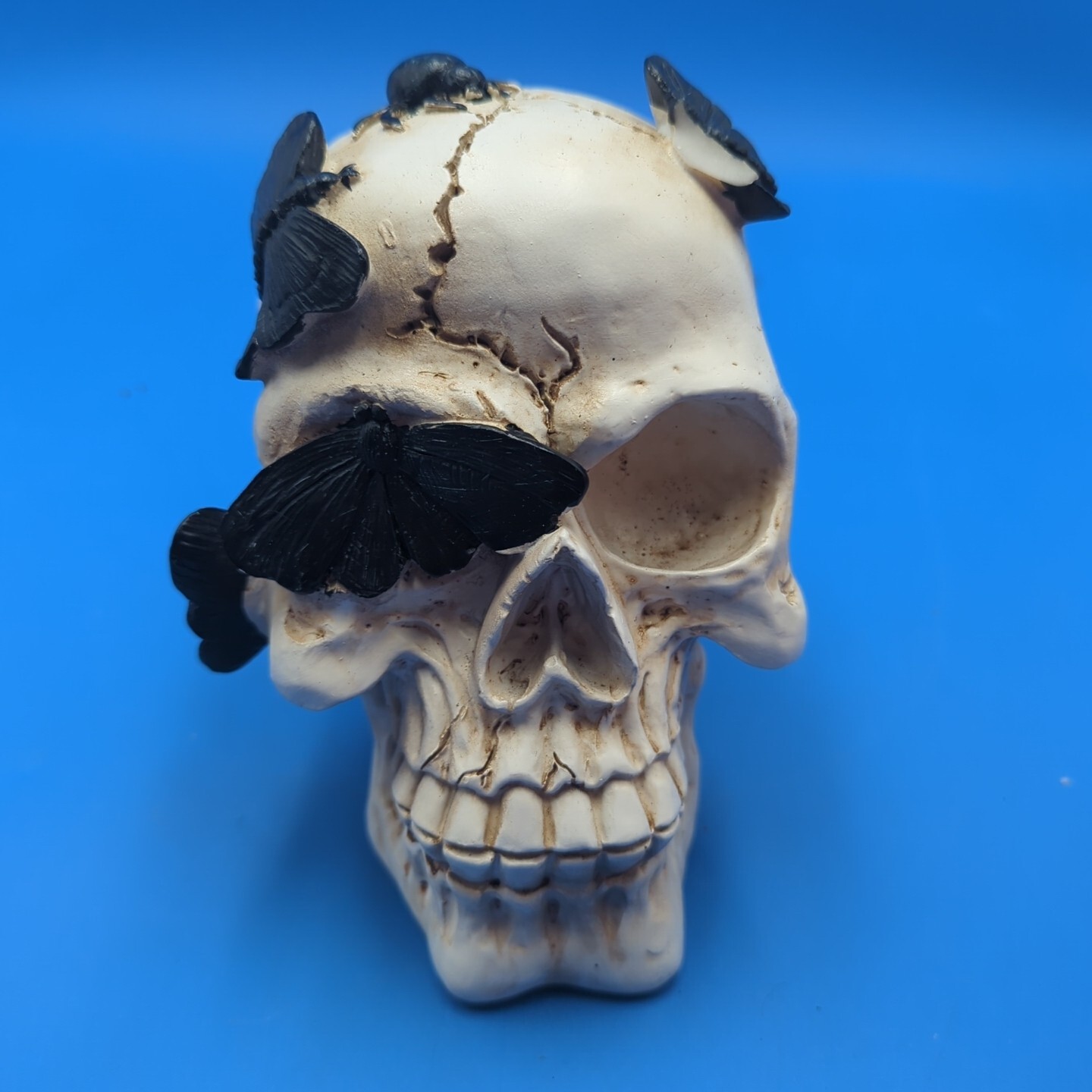 Skull Prop Decor With Butterfly Day Of The Dead Bugs Halloween