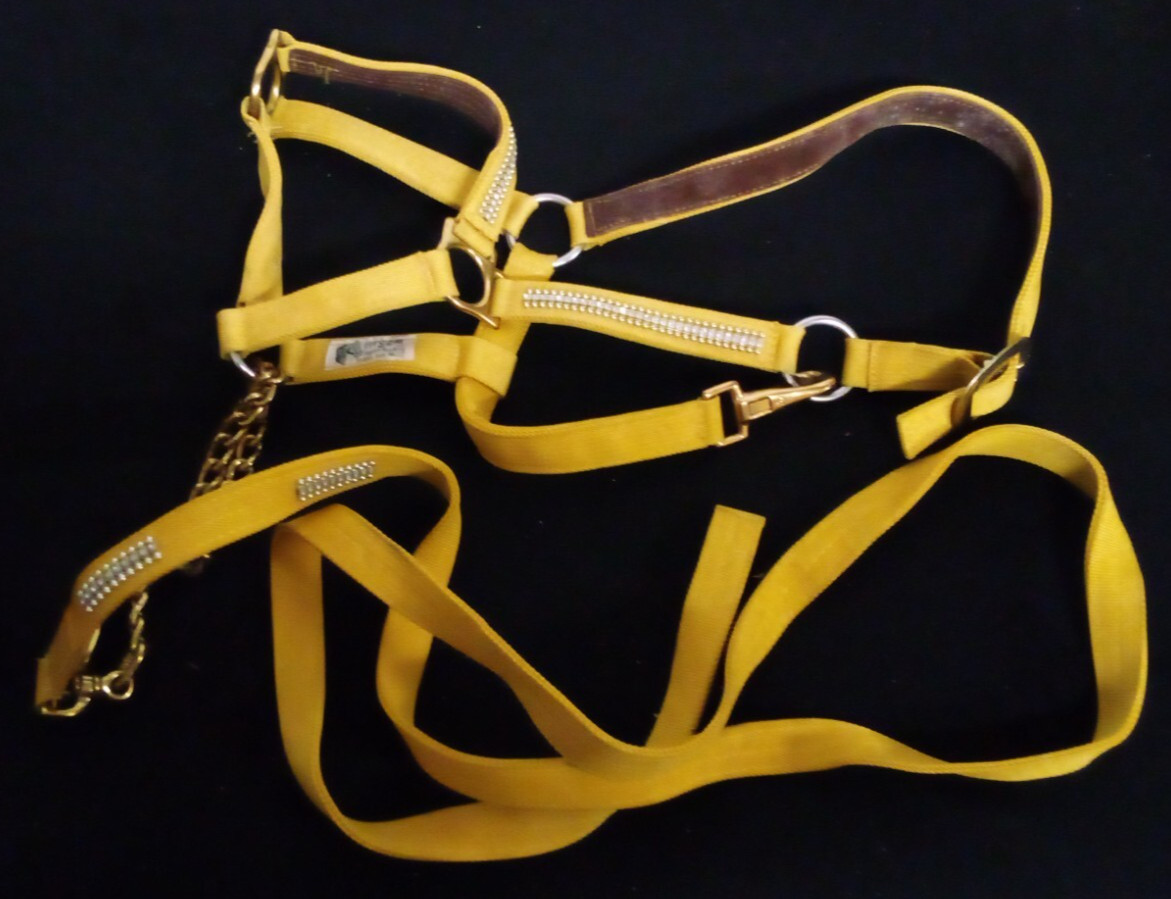 VTG FITS-EM YELLOW JEWELED RHINESTONE HORSE HALTER INDIANAPOLIS INDIANA I