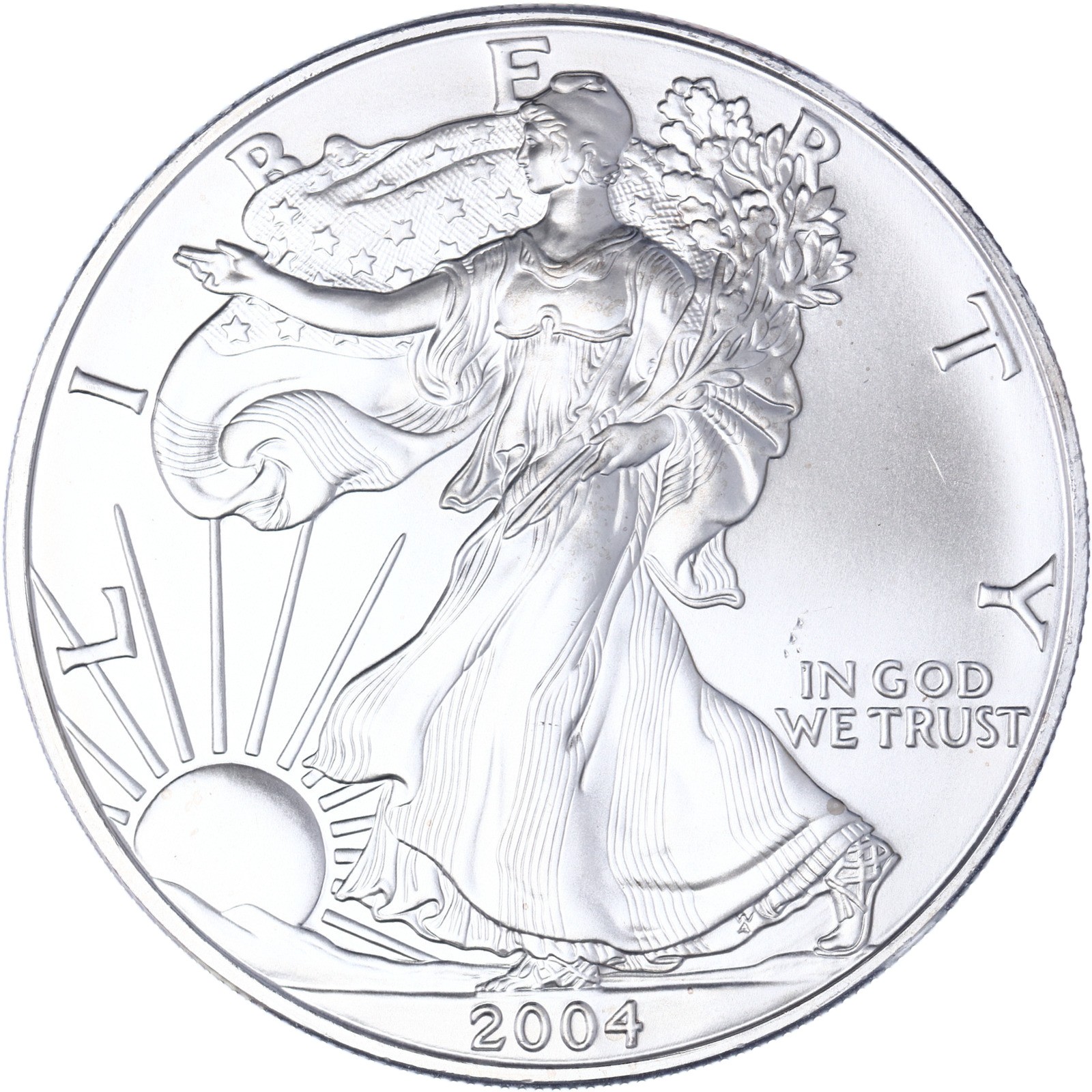 2004 American Silver Eagle 1 Oz Gem Brilliant Uncirculated Coin