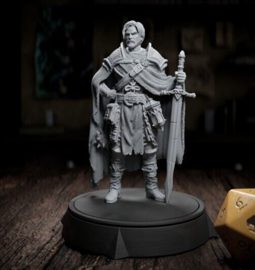 D&D Bartholomeu Fighter Guard Captain Champion Mini 32mm Scale (unpainted) TTRPG