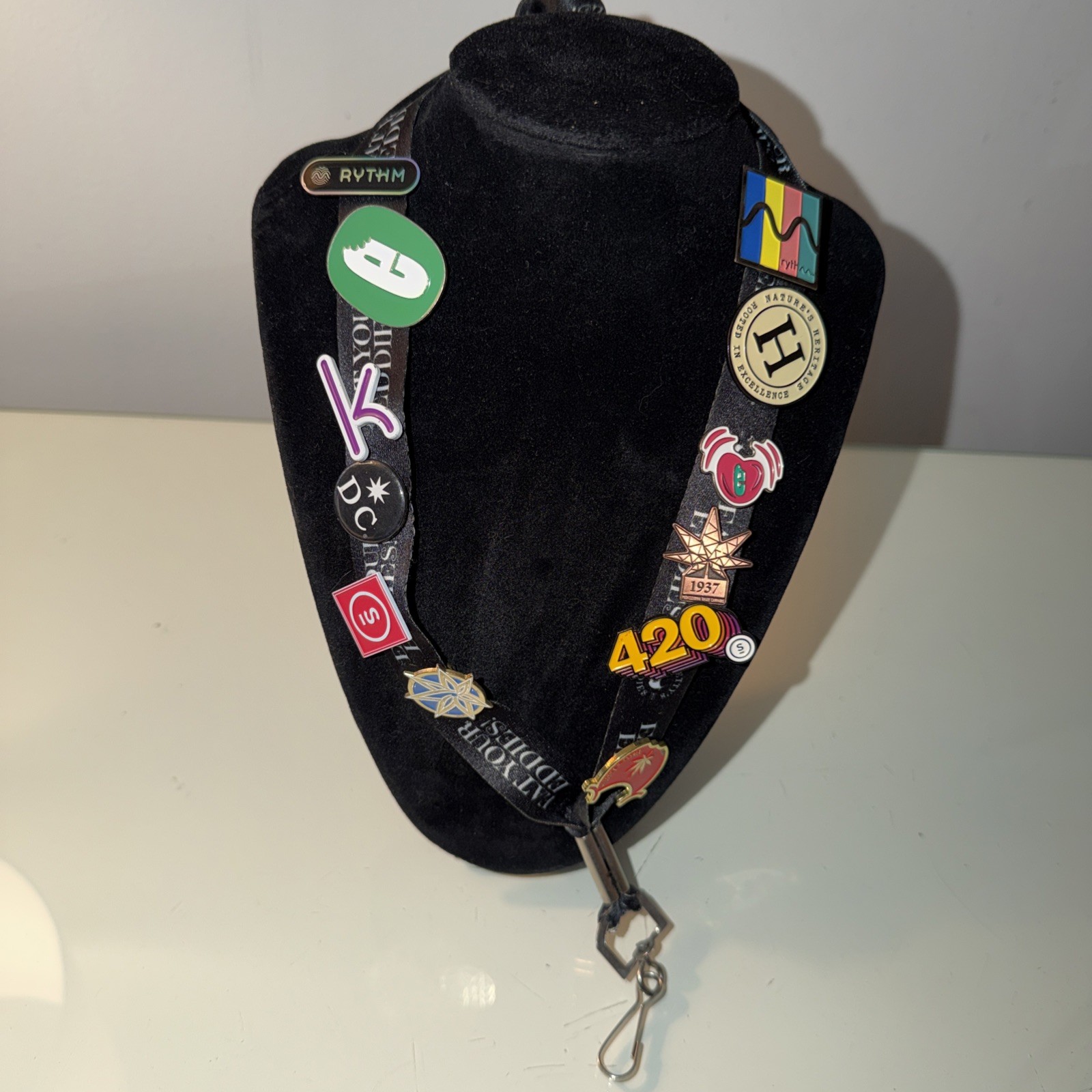 Lanyard With 12 Collectible Edibles Pins