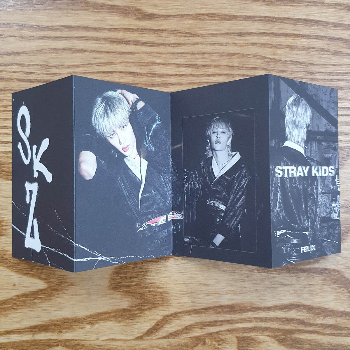 Felix Official Mini Photobook Stray Kids 1st Repackage IN生 IN Life Genuine