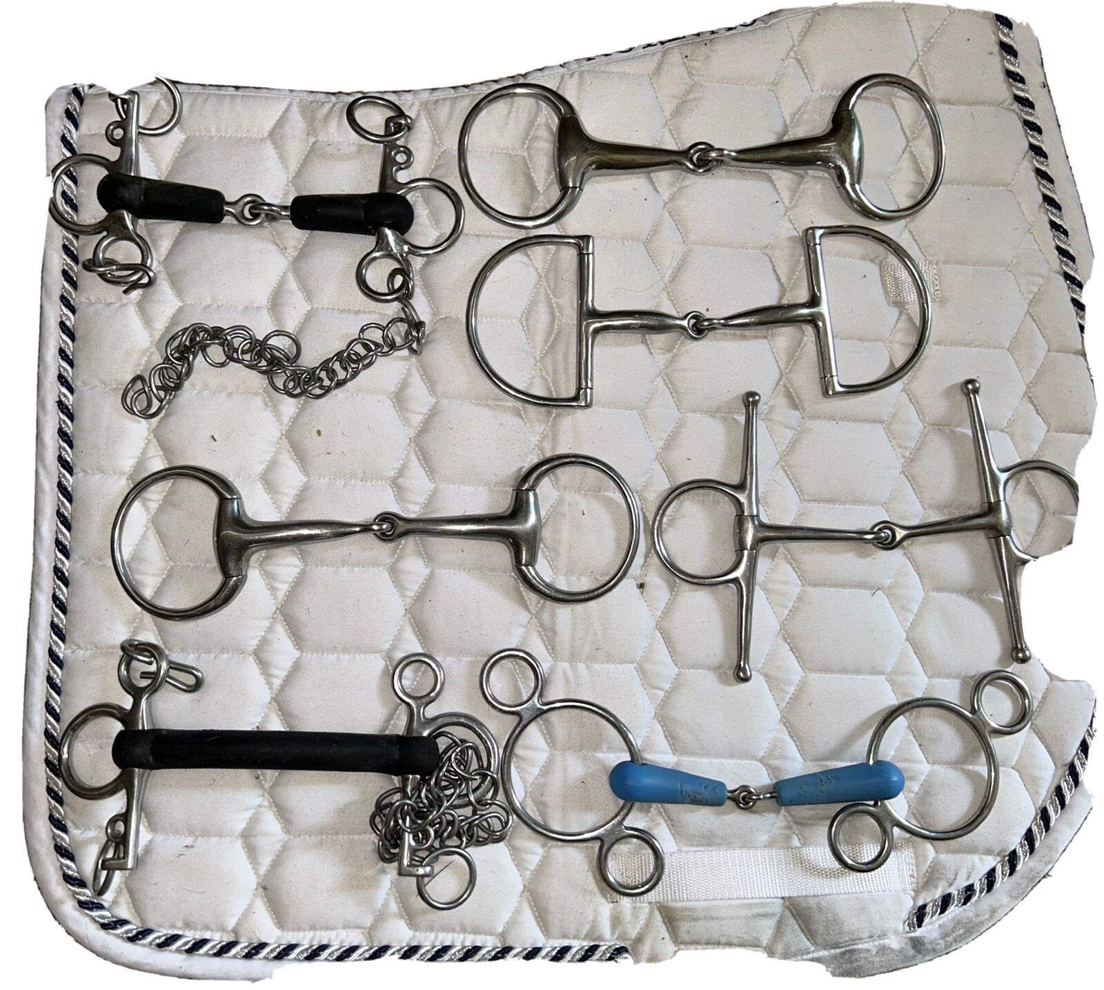 equine bits