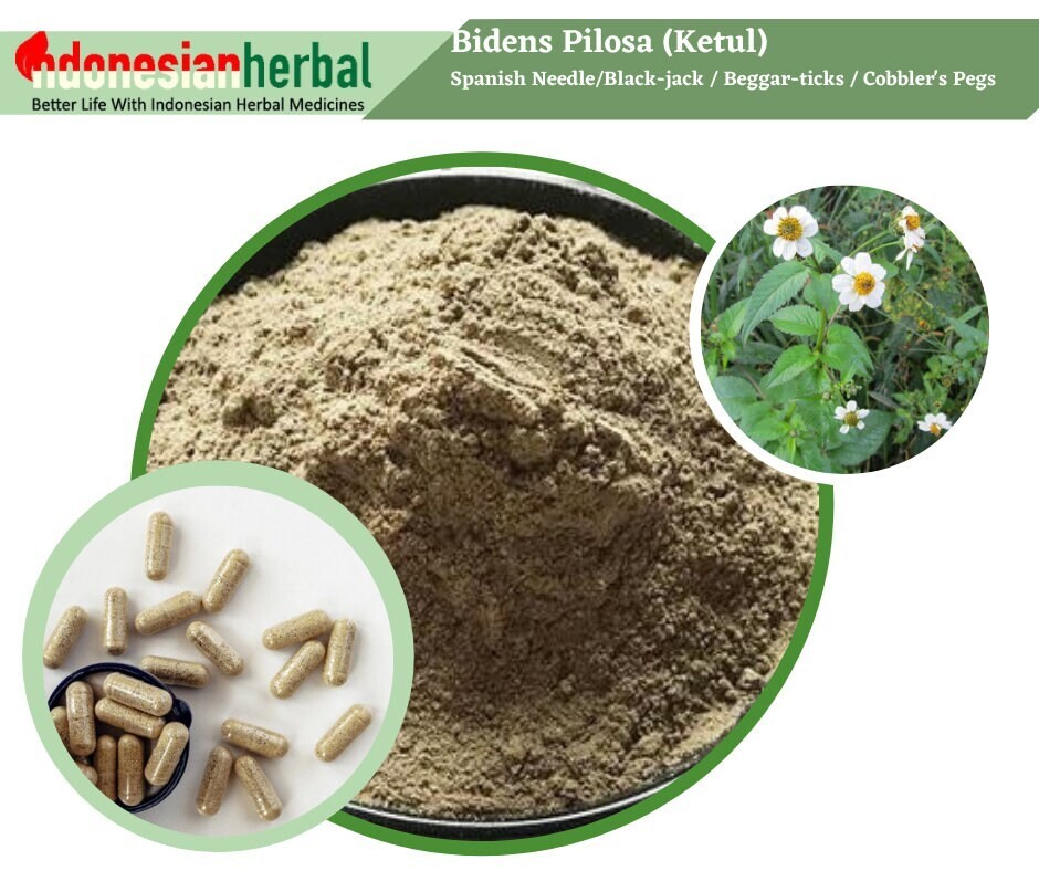 Capsule Of  Pure  Bidens Pilosa Bidens Pilosa Natural Herbal 100@ Organic Herb