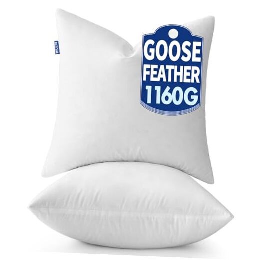 xGoose Feather Down Pillows with 100% Cotton Cover, Set of Soft 22x22 Inch 2