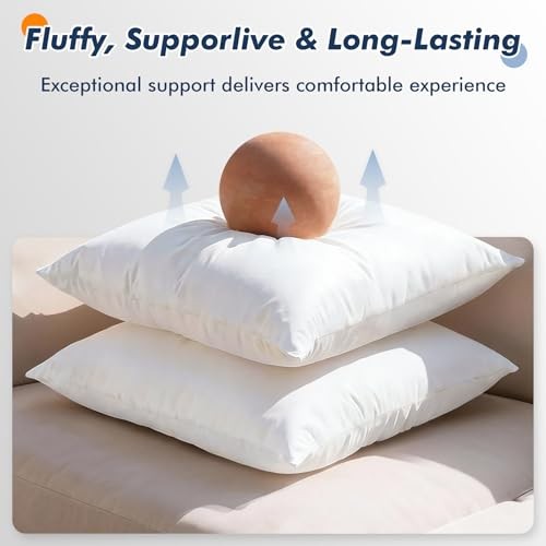 Pack of 2 12x20 Outdoor Pillow Inserts, Water 12x20 inch White （2 Pack）
