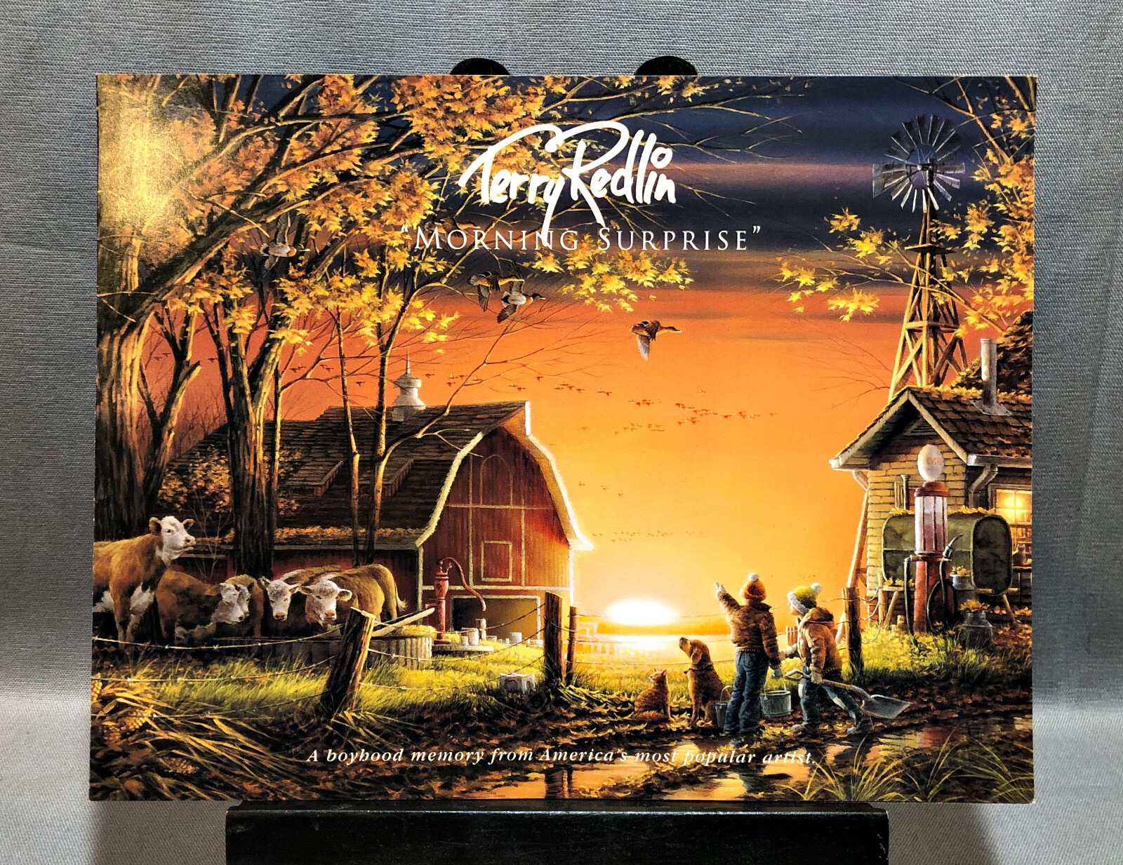 Terry Redlin Morning Surprise Sales Brochure Leaflet 1996