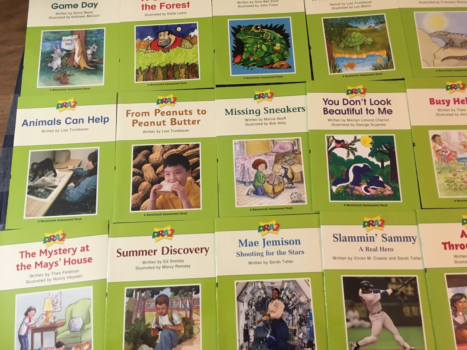 DRA2 Developmental Reading Assessment K-3 Grade K 1st 2nd 3rd 22 Books Readers