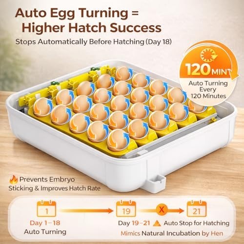 30 Egg Incubator with Humidity Display, Egg Candler, Automatic Egg Turner, for H