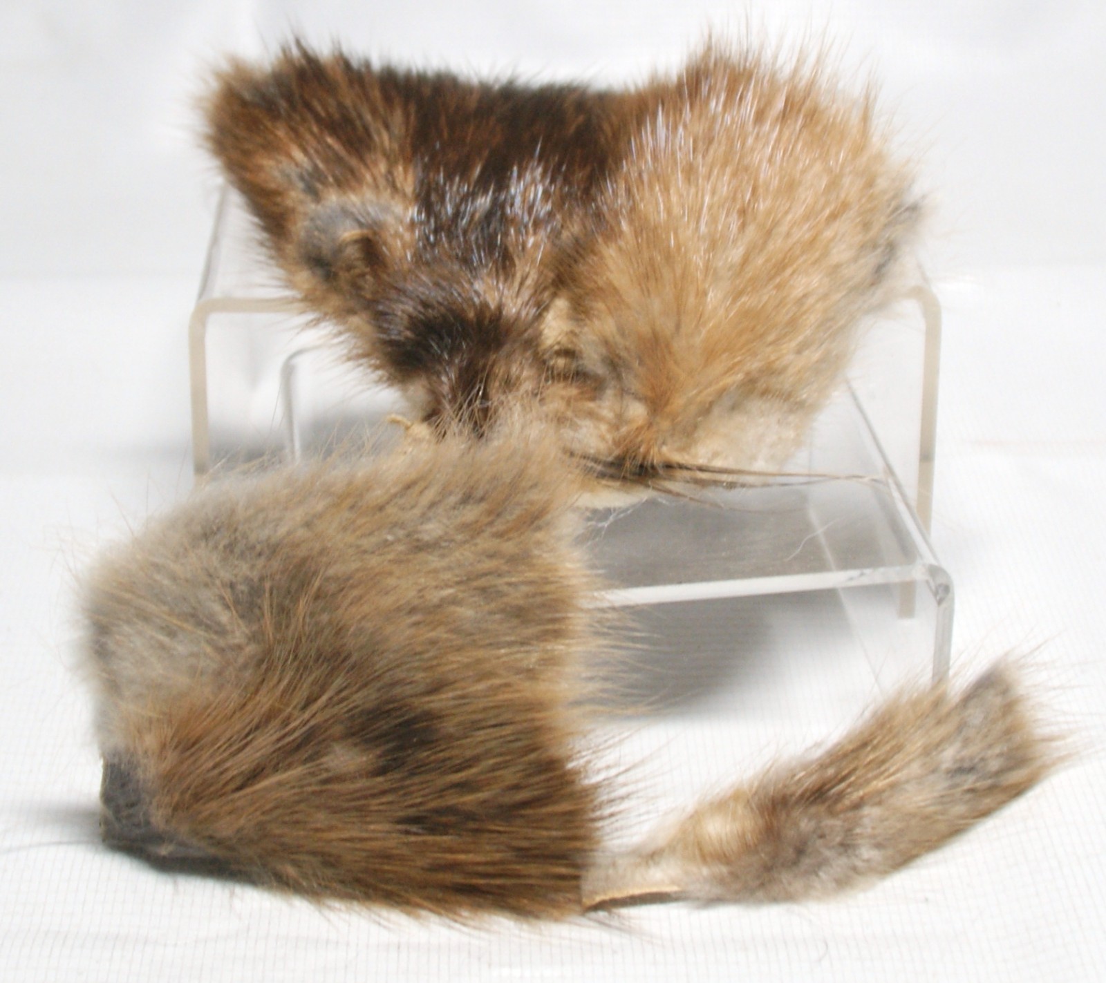 Mink Fur Piece For Fly-Tying includes Wiskers Brown 569