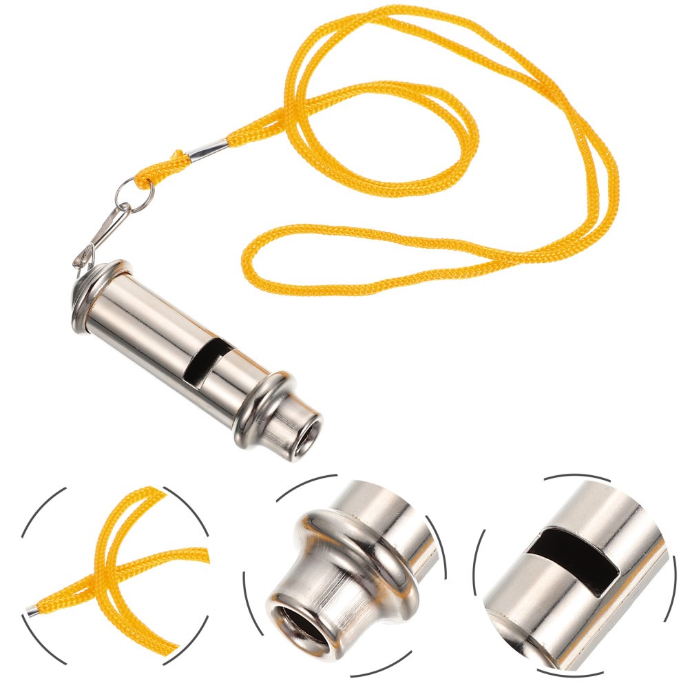 Bird Training Whistle Pet Training Gadget Pigeon Supply (Silver)