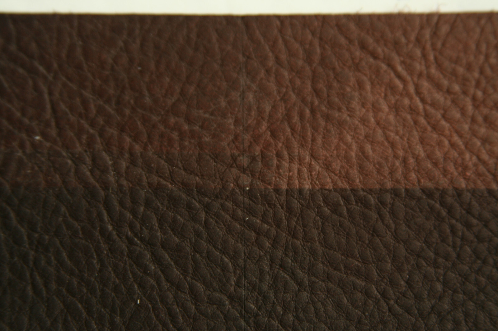 Voigt Leather Shield