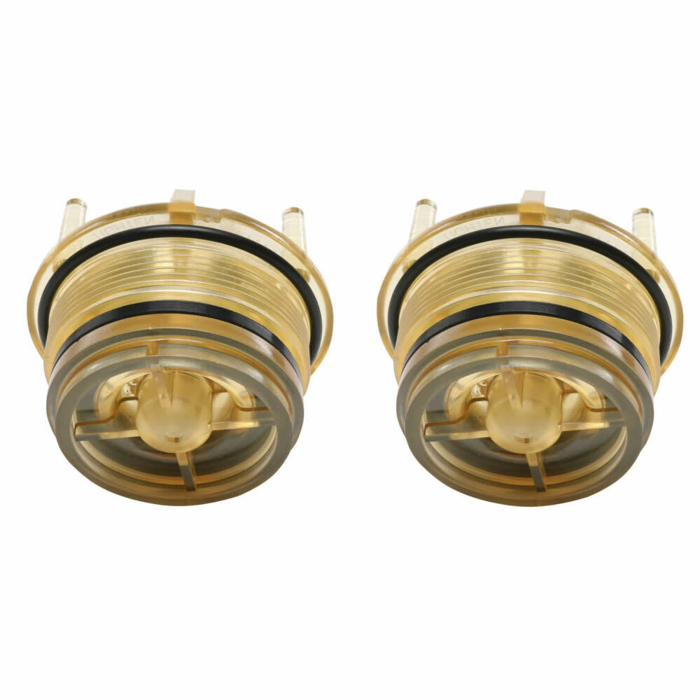 2pcs For FEBCO 765 1 & 1-1/4 POPPET And BONNET ASSEMBLY (905212) Repair Kit New