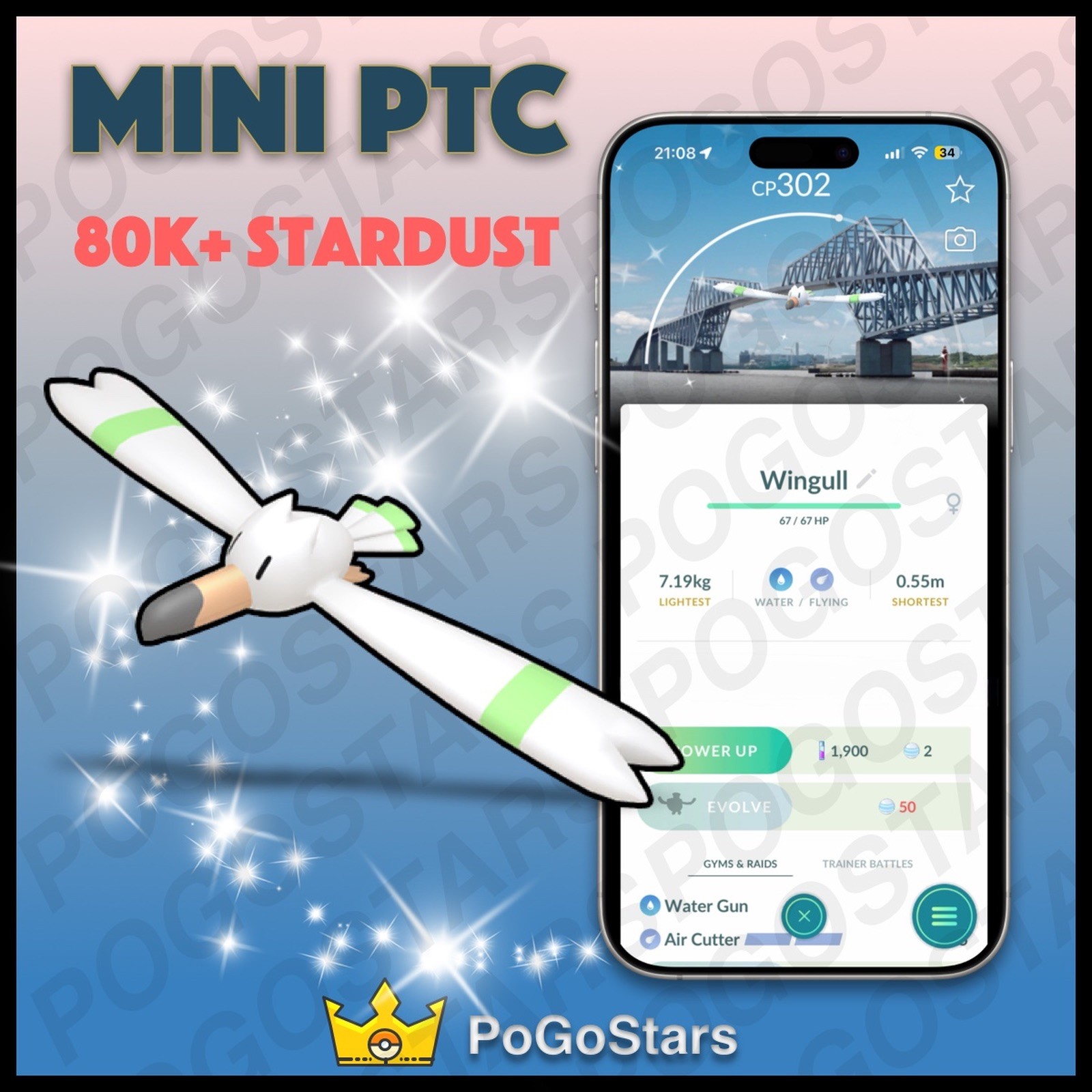 Pokémon PTC GO - Shiny Wingull - Koto Stamp Rally✨Special Background✨