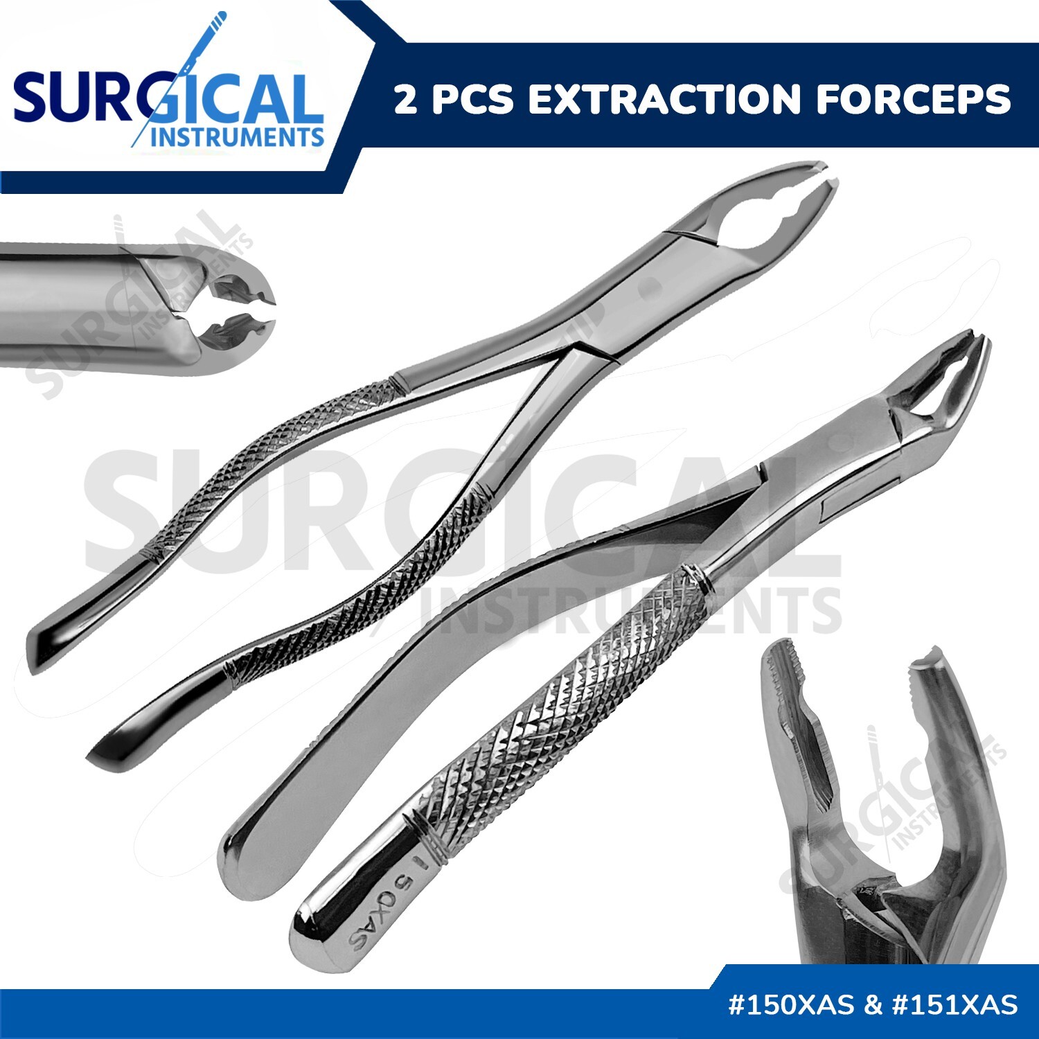 Set of 2 Dental Extracting Forceps #150XAS & #151XAS - Surgical German Grade